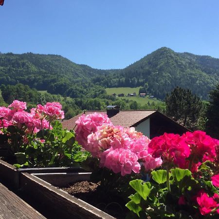 Ferienwohnungen Gaestehaus Sonnenkreis Ruhpolding Exteriör bild