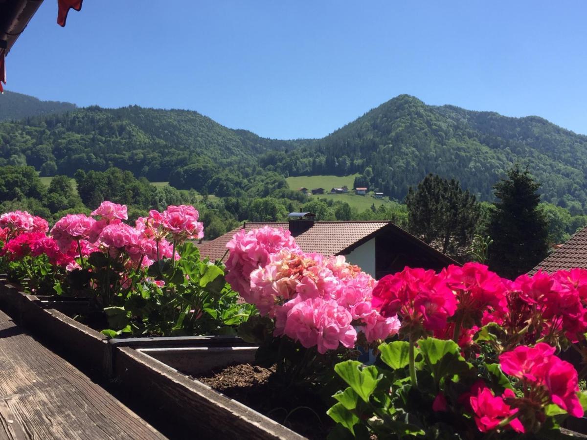 Ferienwohnungen Gaestehaus Sonnenkreis Ruhpolding Exteriör bild
